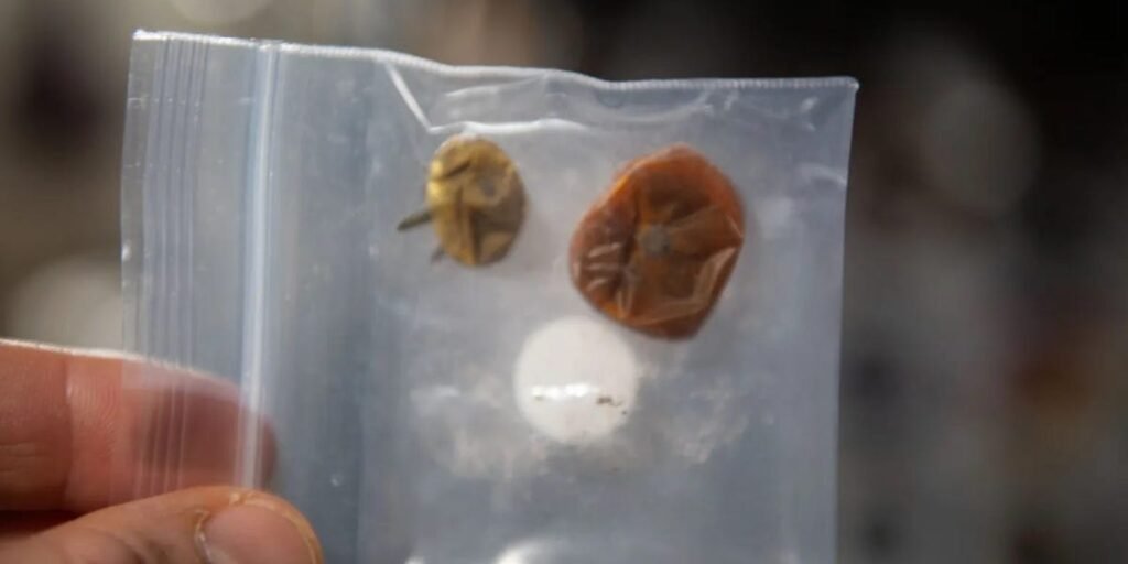 Here’s What Happens to Tomatoes Lost on the International Space Station