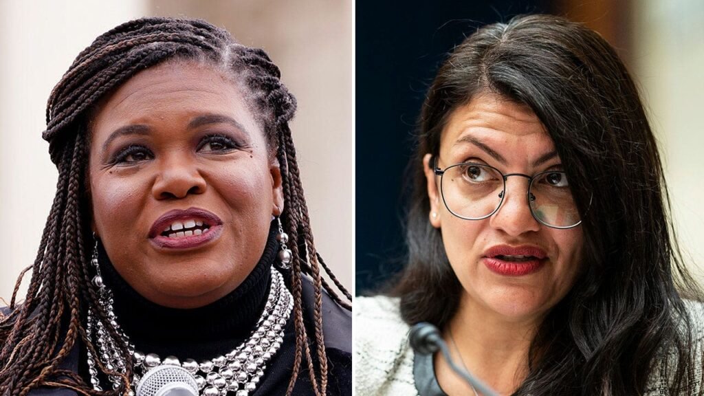 ‘Squad’ members Rep. Cori Bush and Rep. Rashida Tlaib