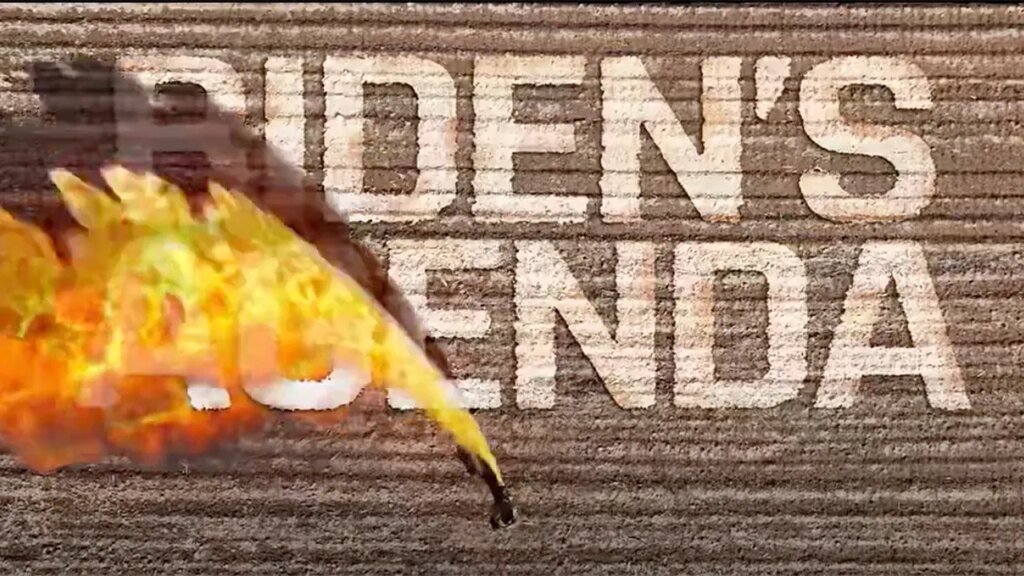 GOP House candidate takes flamethrower to ‘Biden’s agenda’ in six-figure ad buy: ‘I’ll bring the heat’