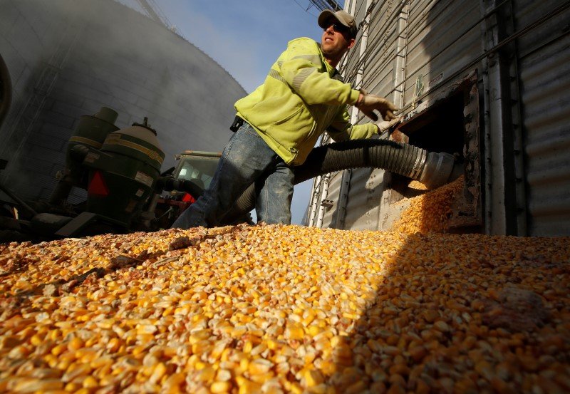 Brazil soy, corn crop estimates widen further after weather woes -Braun By Reuters