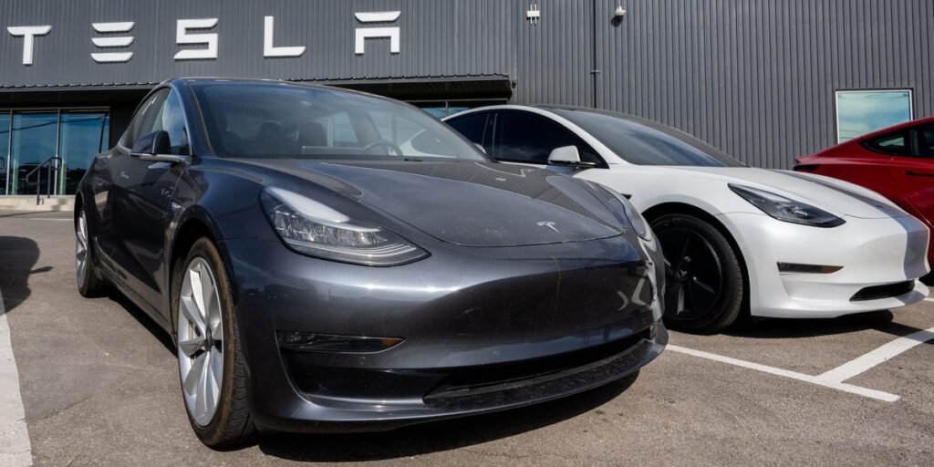 TikToker Trapped in 115-Degree Heat After Her Tesla Locked Her Inside