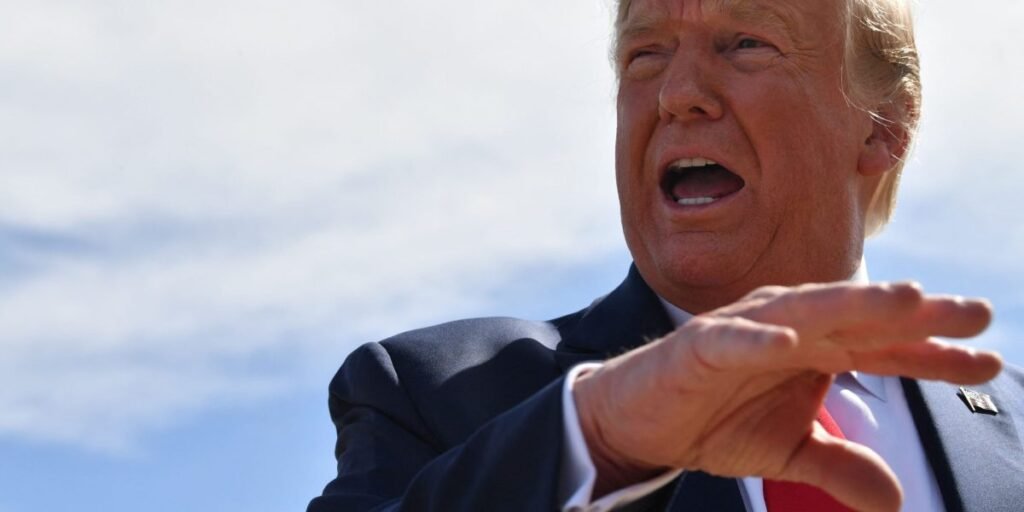 Orsted leads wind energy selloff after Trump’s ‘crazy’ whales claim