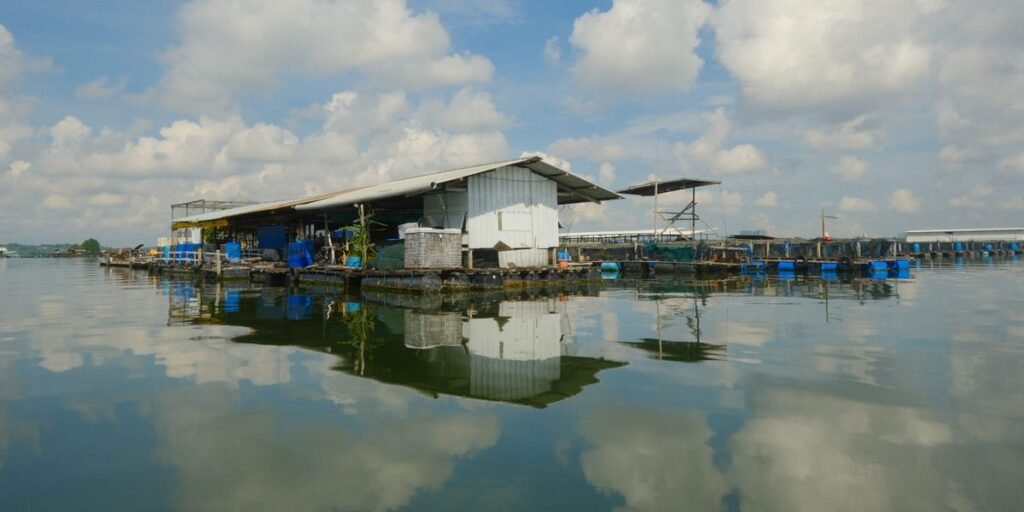 Singapore’s Traditional Floating Fish Farms Are Struggling to Survive
