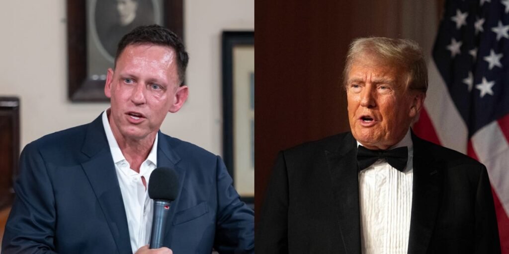 Thiel Pans Taking ‘Full-Time’ Trump Job: ‘I’d Be Depressed and Crazy’