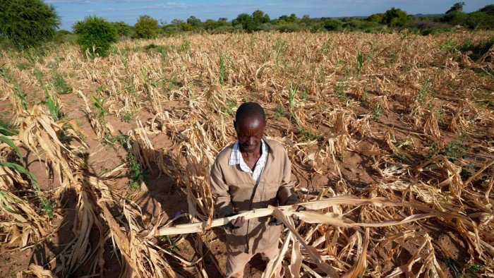 Saudi-hosted UN summit fails to agree on how to tackle drought
