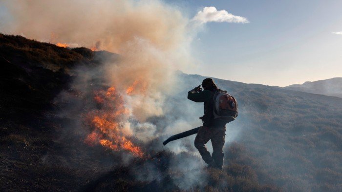 Scotland’s ‘sport of kings’ hit by extreme weather and land reform