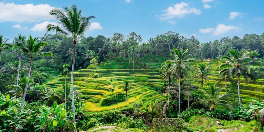 My Dream Trip to Bali Was so Disappointing I Changed Plans After 3 Days