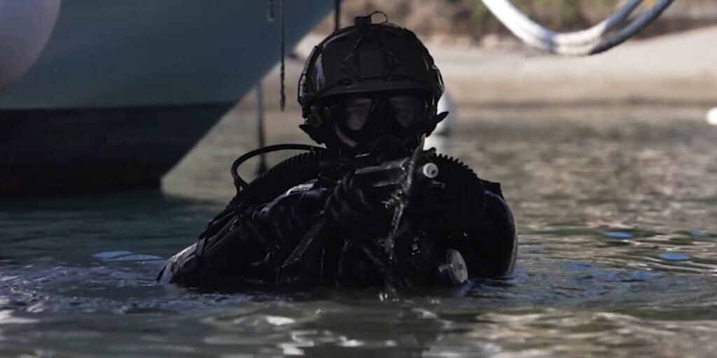NATO Turned to Elite Divers to Test Shields for at-Risk Undersea Lines