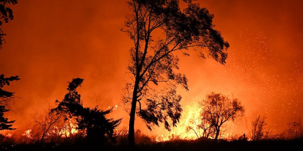 LA Fire Damage Estimates Rise to ‘Staggering’ $275 Billion