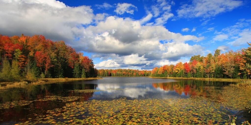 We Left Florida so We Could Buy a House; Moved to Wisconsin, Love It