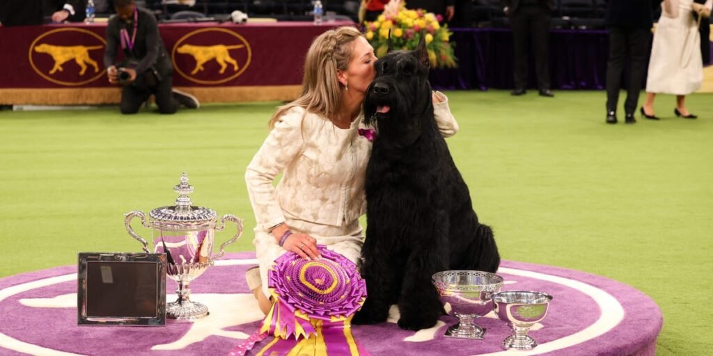 Westminster Dog Show Winners Through History: Photos