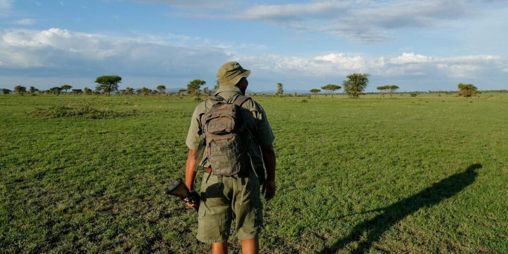 Tipping on a Safari in Africa: Who to Tip and How Much