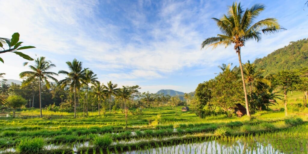 How I Had a Great Trip to Bali by Skipping Popular Areas; Saving Money