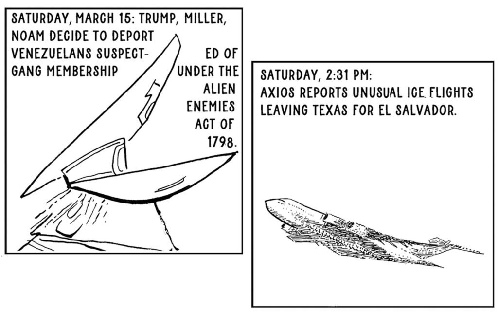 COURT D’ÉTAT | The Nation