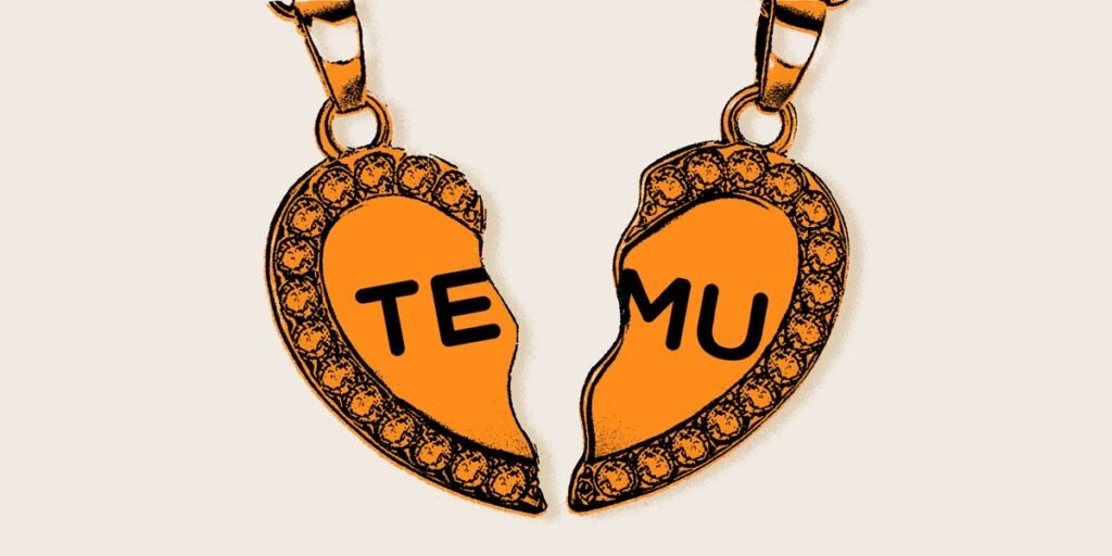 My Temu Order Arrived — With No Extra Fees. Will You Be so Lucky?