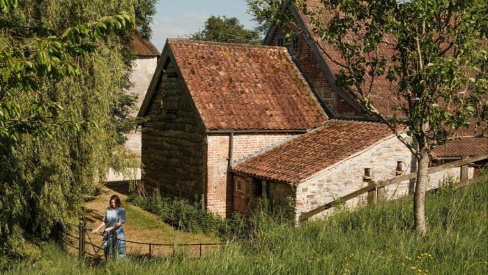 The magic and madness of leaving London to start a vineyard in Somerset