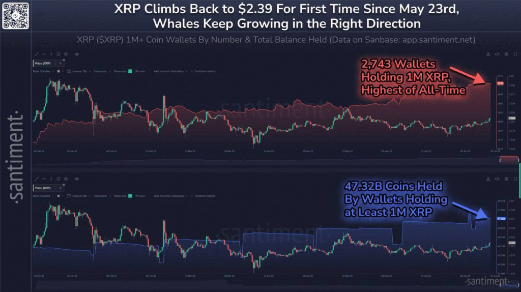 XRP Price Reclaims $3 Level Again – Is $4 Coming in Next 24 Hours?