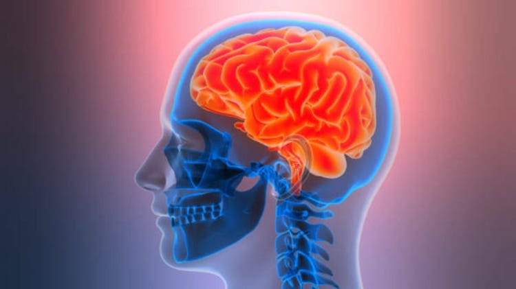 Elon Musk’s Neuralink says globally 12 people have received implants