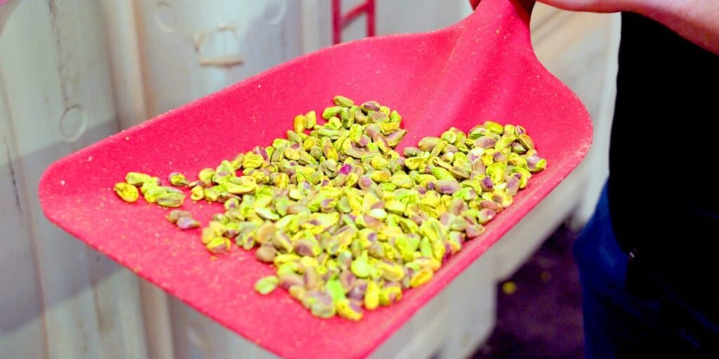 How California produces 99% of America’s pistachios in a drought