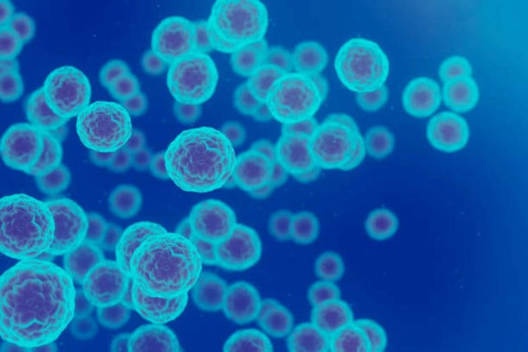 Bristol Myers Squibb, SystImmune report data from lung cancer trial