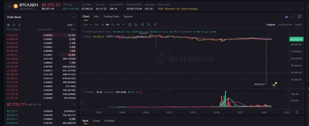 Bitcoin Triggers Sharp Flash Crash to $24K on Binance USD1 Pair