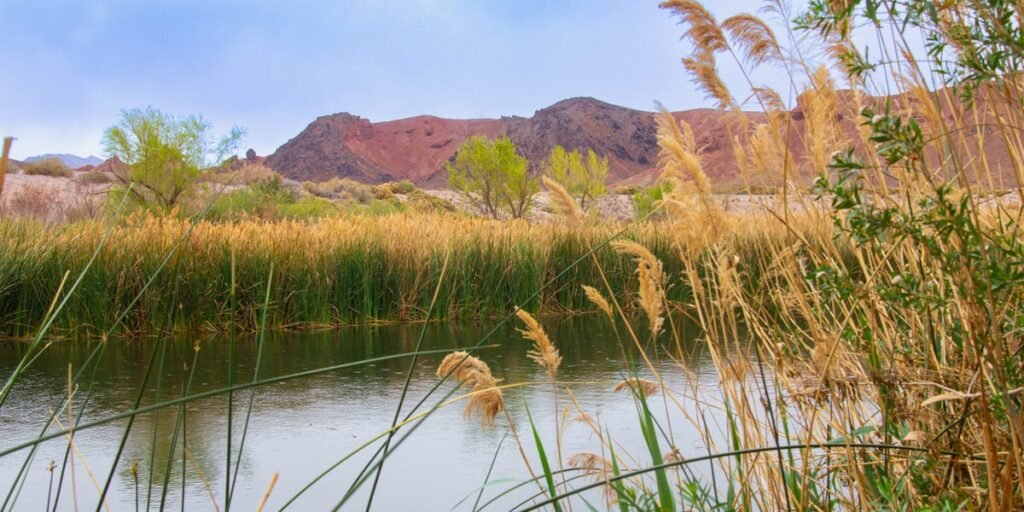 Cozy Places to Go in Las Vegas, From Someone Who Lives There