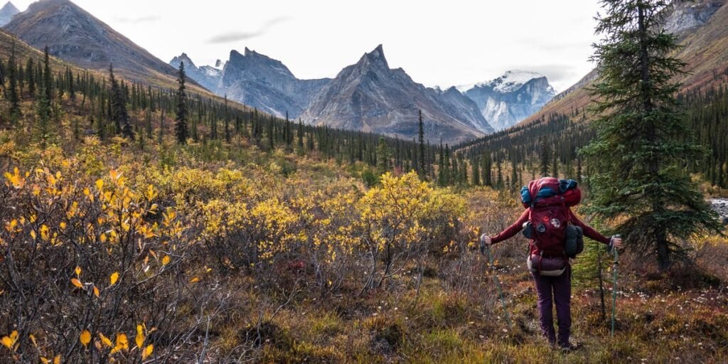 Best and Worst National Parks, From Traveler Who Visited All 63