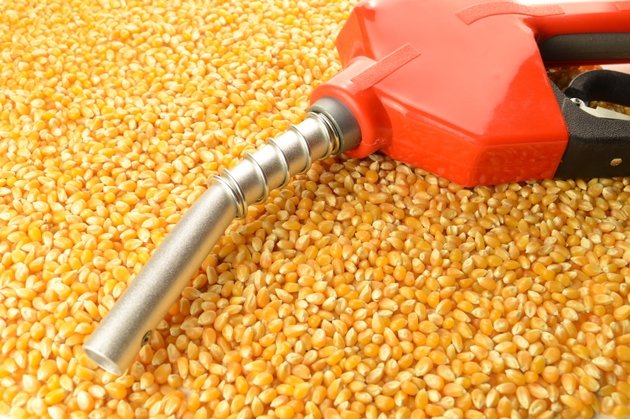 U.S. RIN prices plunge after EPA delays biofuel compliance deadline – Reuters (ADM:NYSE)
