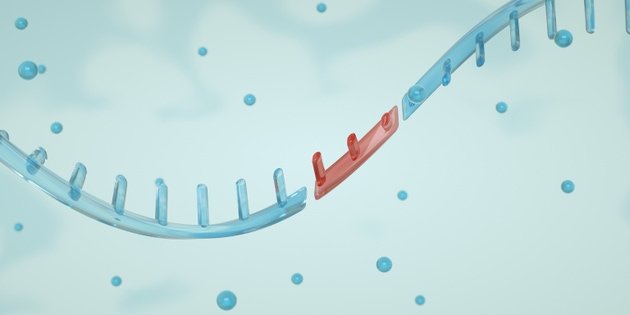 Arcturus, Moderna down on BioNTech trial setback (ARCT:NASDAQ)