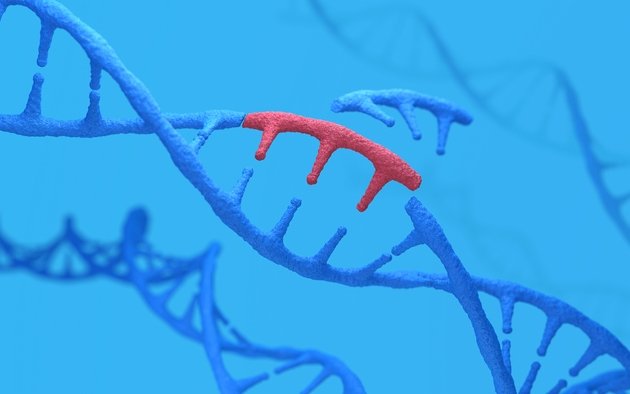 Beam updates Phase 1/2 trial data for gene-editing drug (BEAM)