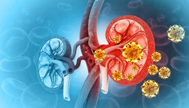 Vertex reports positive mid-stage results of inaxaplin kidney disease